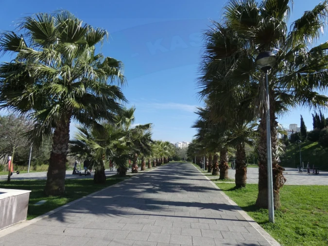 Apartamento T3 para Venda em Águas Livres Foto 25