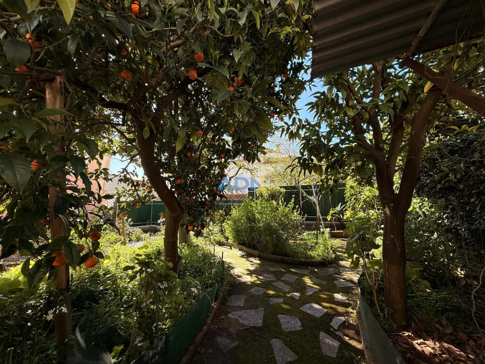 Moradia T8 para Venda em Castelo Branco Foto 36