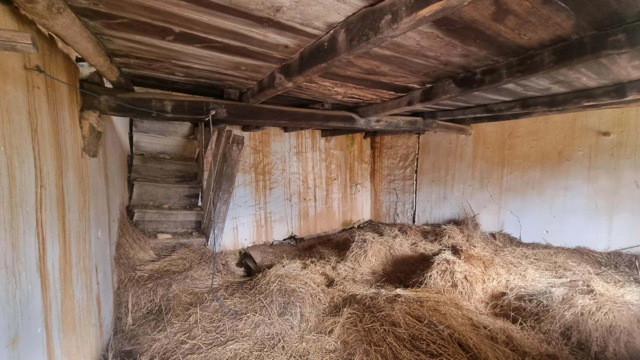 Terreno para Venda em Sobreira Formosa e Alvito da Beira Foto 12
