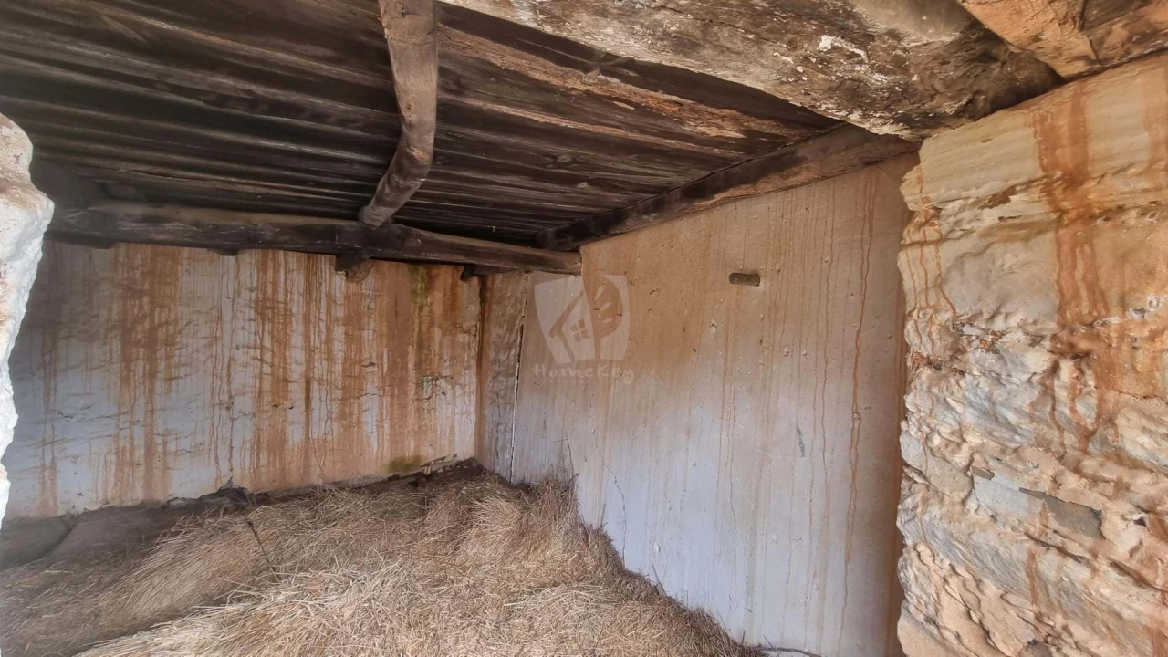 Terreno para Venda em Sobreira Formosa e Alvito da Beira Foto 11