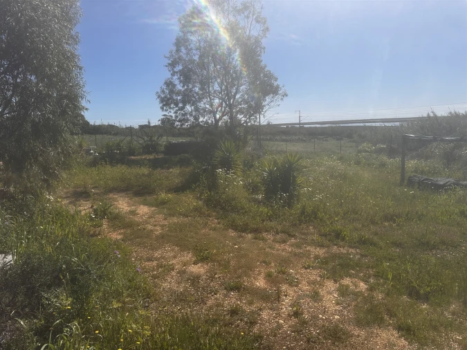 Terreno Agricola ou Rústico para Venda em Moncarapacho e Fuseta Foto 3
