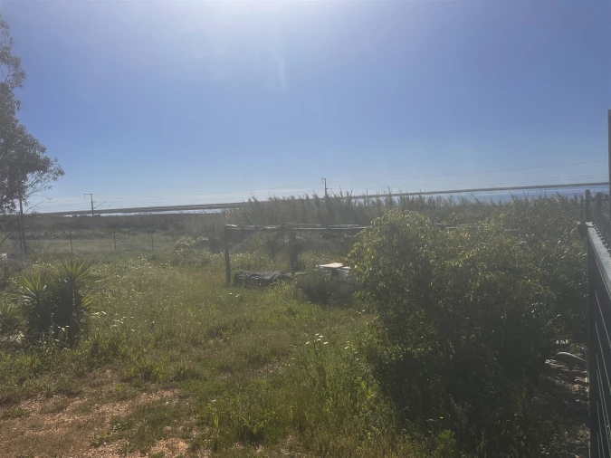 Terreno Agricola ou Rústico para Venda em Moncarapacho e Fuseta Foto 4