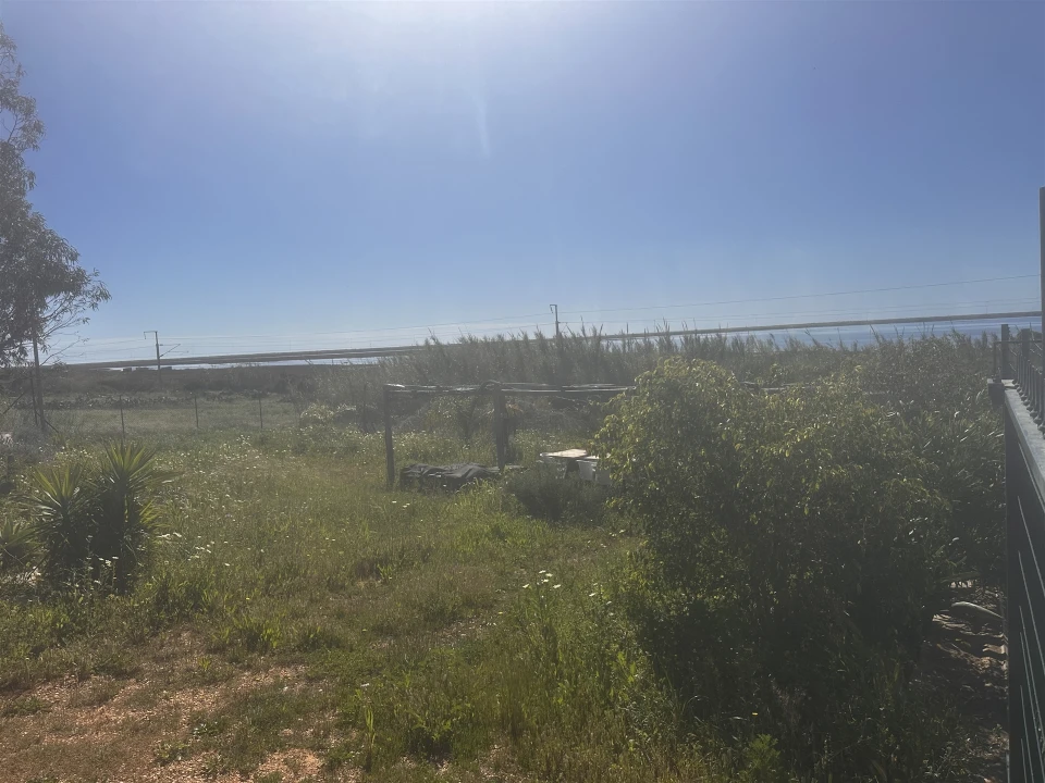 Terreno Agricola ou Rústico para Venda em Moncarapacho e Fuseta Foto 4