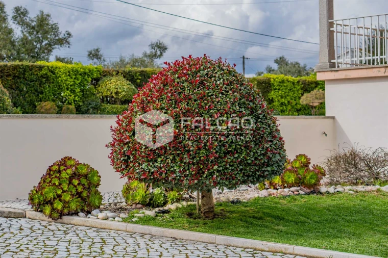 Moradia T3 para Venda em Romeira e Várzea Foto 1