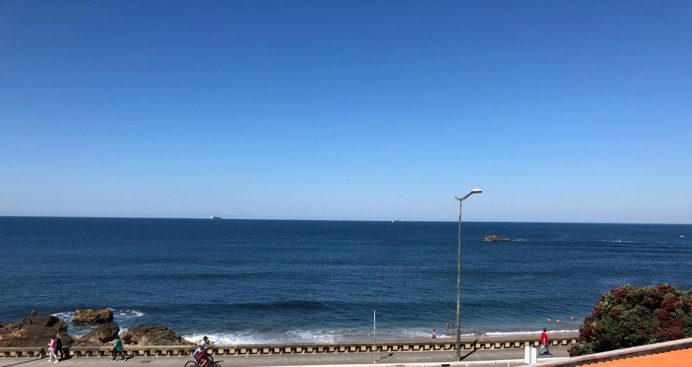 Apartamento T4 para Arrendamento em Aldoar, Foz do Douro e Nevogilde Foto 1