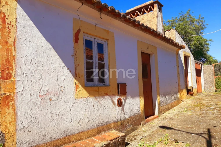 Moradia T4 para Venda em São Miguel do Rio Torto e Rossio Ao Sul do Tejo Foto 6