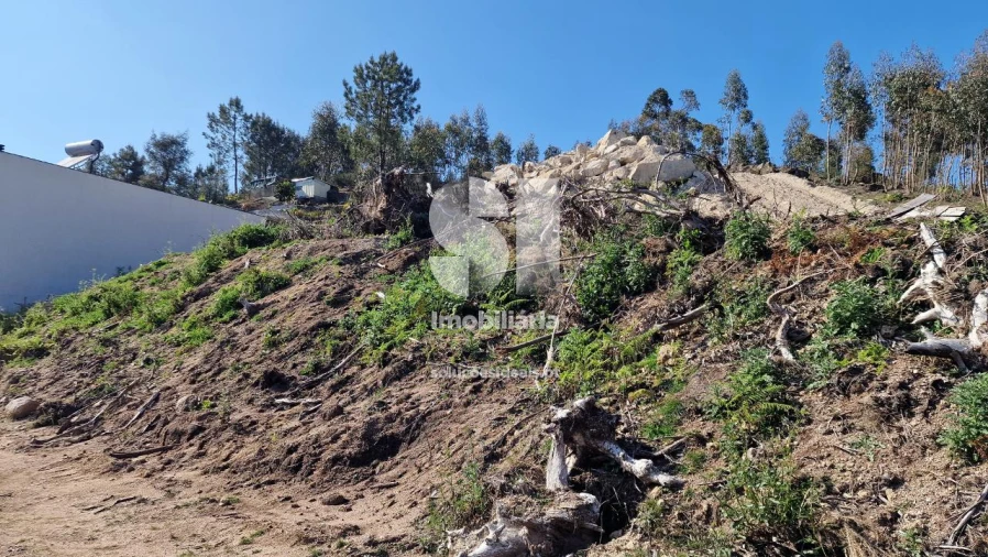 Terreno para Venda em Rebordosa Foto 3