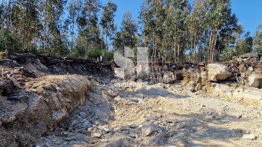 Terreno para Venda em Rebordosa Foto 5