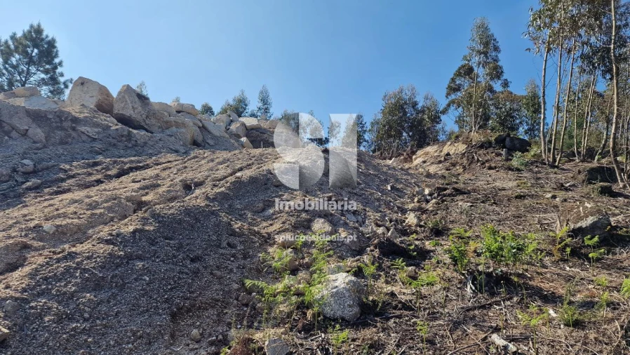 Terreno para Venda em Rebordosa Foto 13