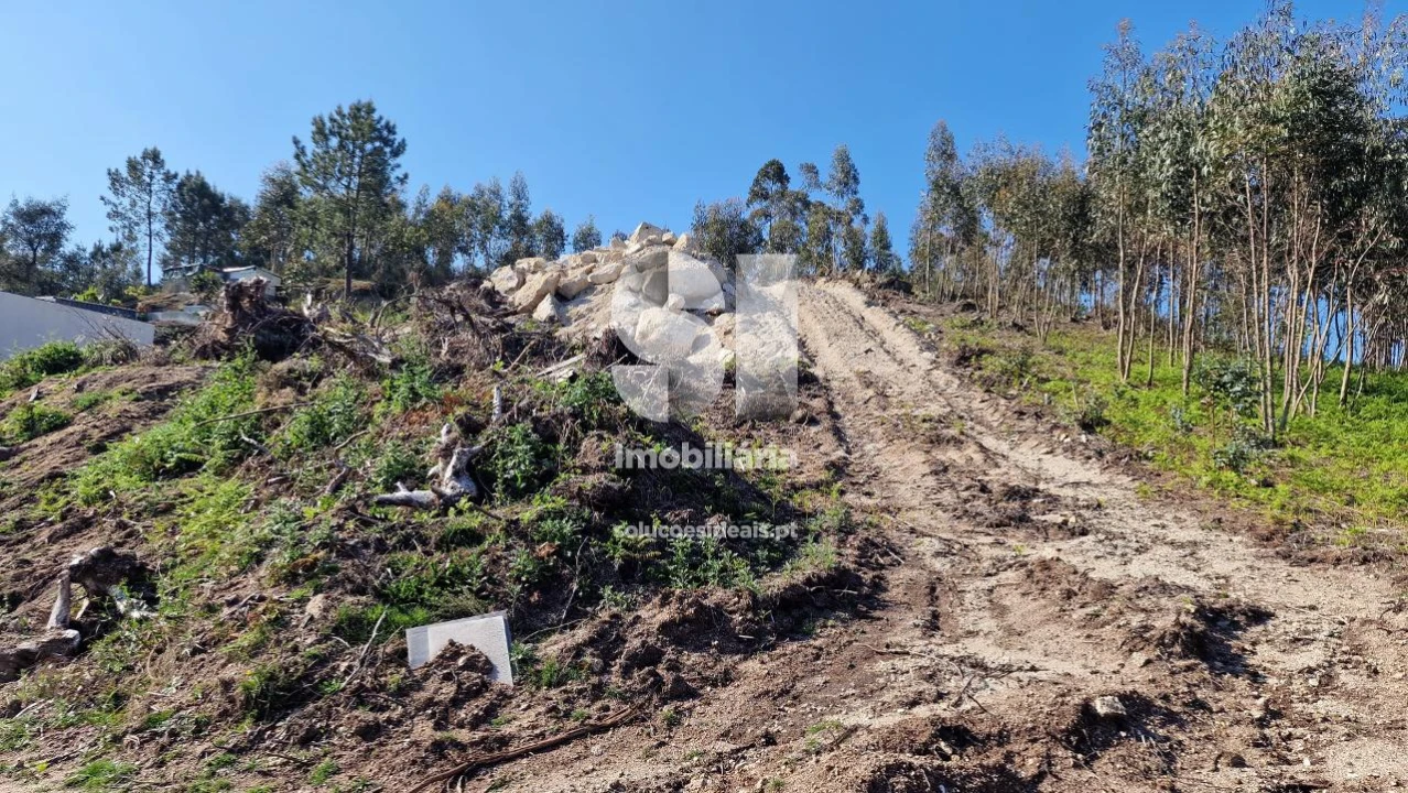 Terreno para Venda em Rebordosa Foto 6