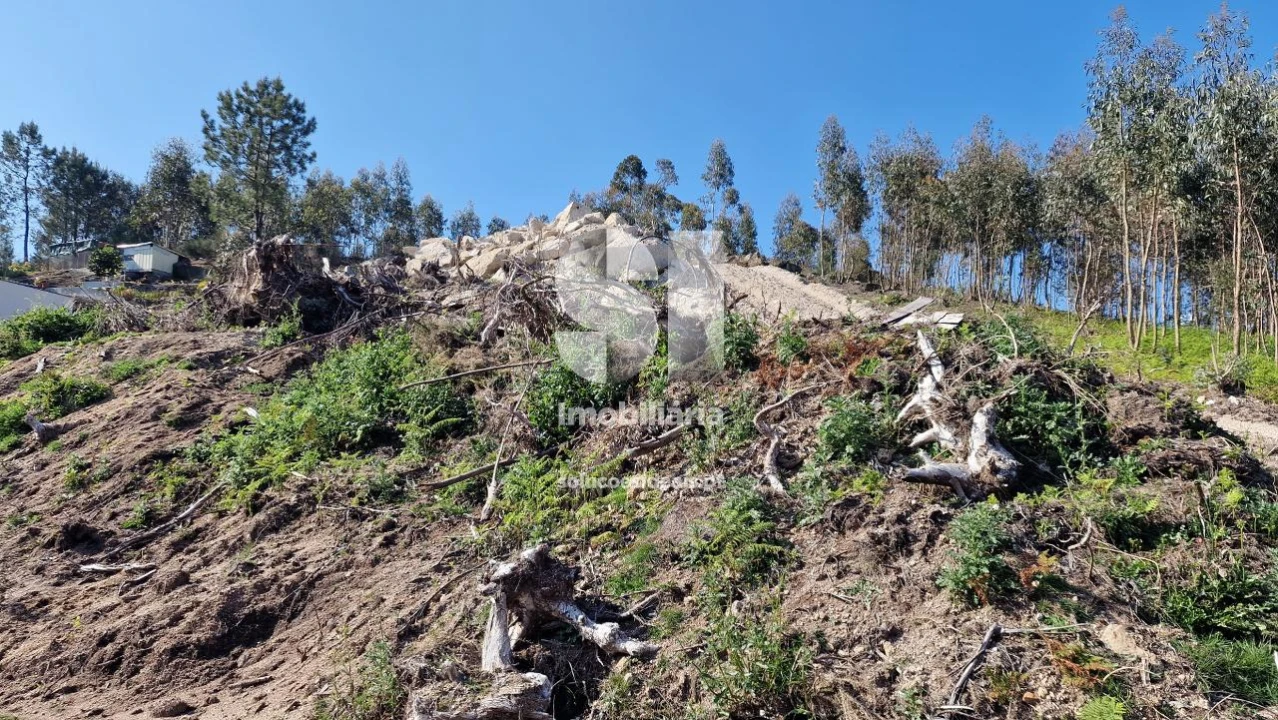 Terreno para Venda em Rebordosa Foto 9