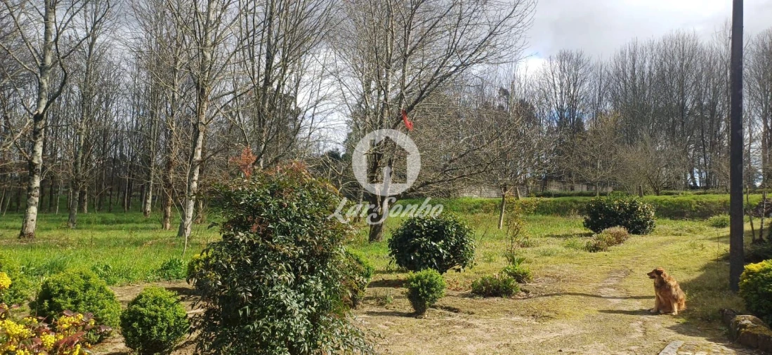 Quinta T2 para Venda em Carvalhosa Foto 35