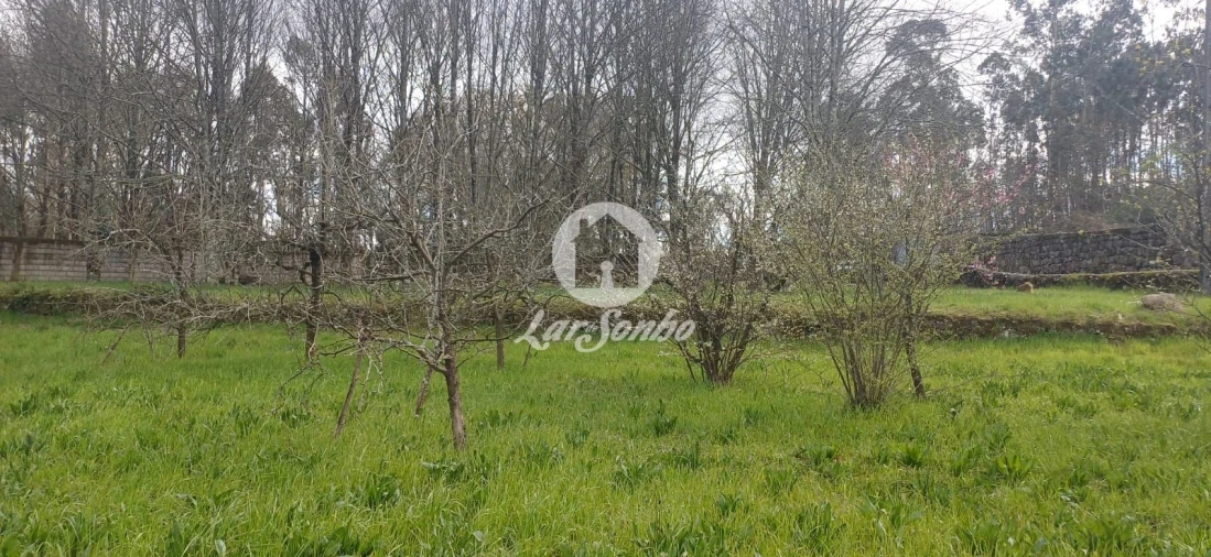 Quinta T2 para Venda em Carvalhosa Foto 39