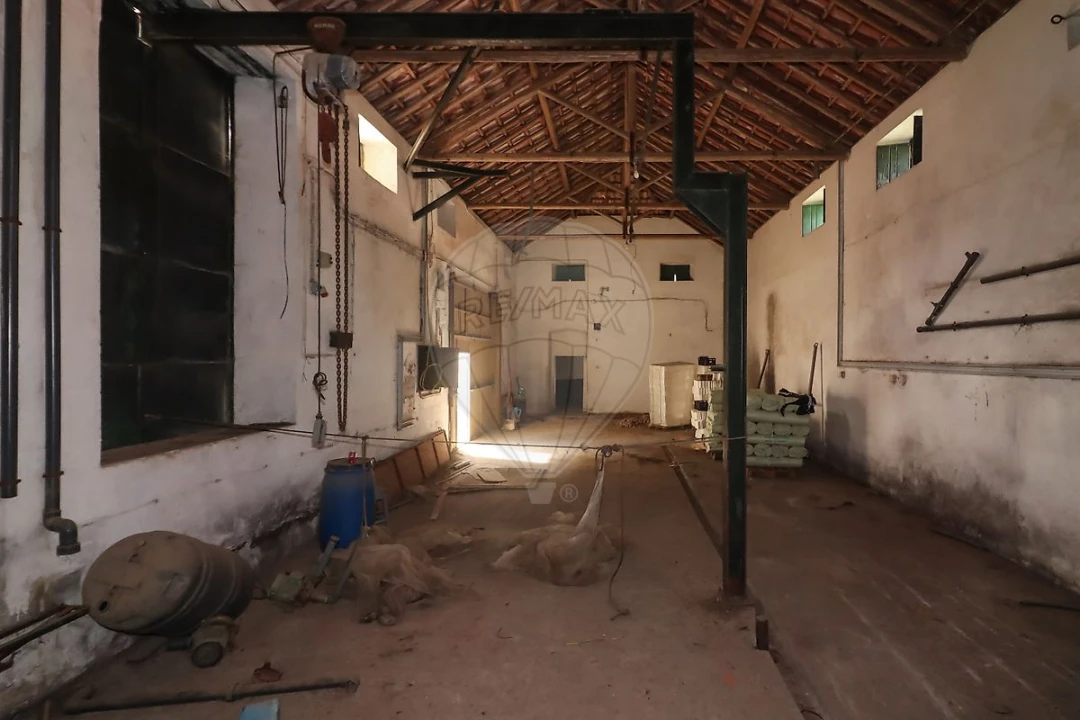 Armazém para Venda em Ribafria e Pereiro de Palhacana Foto 10