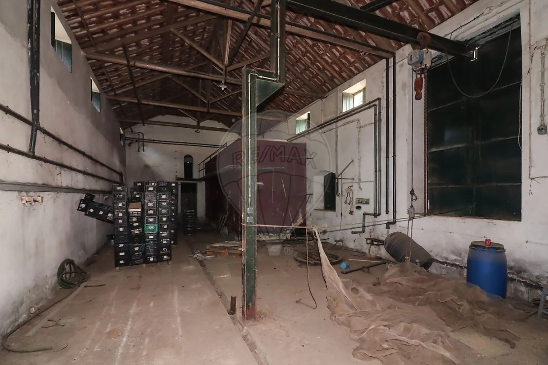 Armazém para Venda em Ribafria e Pereiro de Palhacana Foto 6
