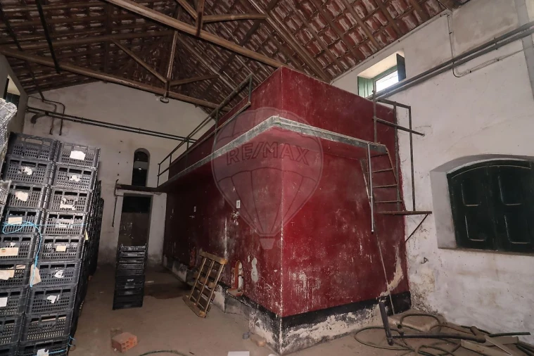 Armazém para Venda em Ribafria e Pereiro de Palhacana Foto 7