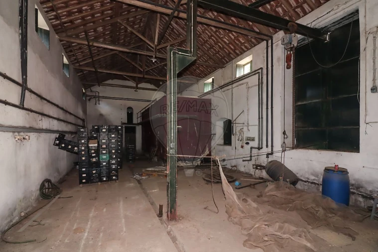 Armazém para Venda em Ribafria e Pereiro de Palhacana Foto 6