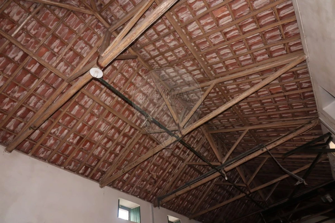 Armazém para Venda em Ribafria e Pereiro de Palhacana Foto 5