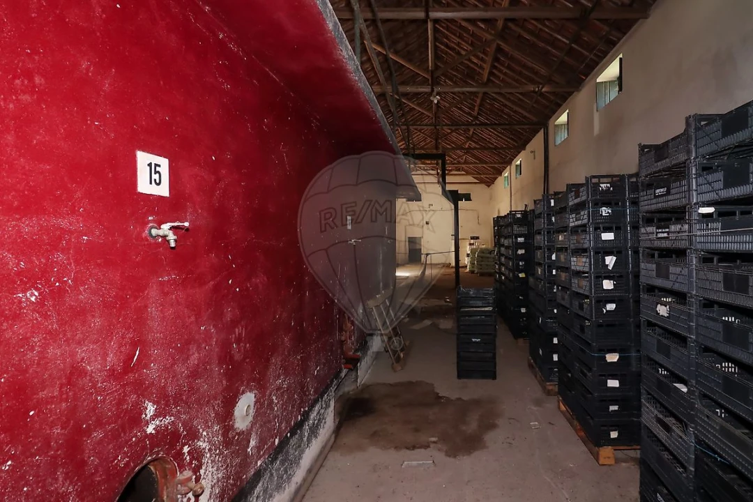 Armazém para Venda em Ribafria e Pereiro de Palhacana Foto 9