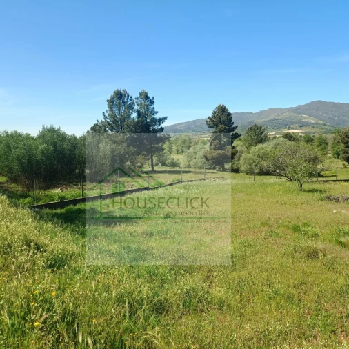 Terreno para Venda em Belmonte e Colmeal da Torre Foto 11