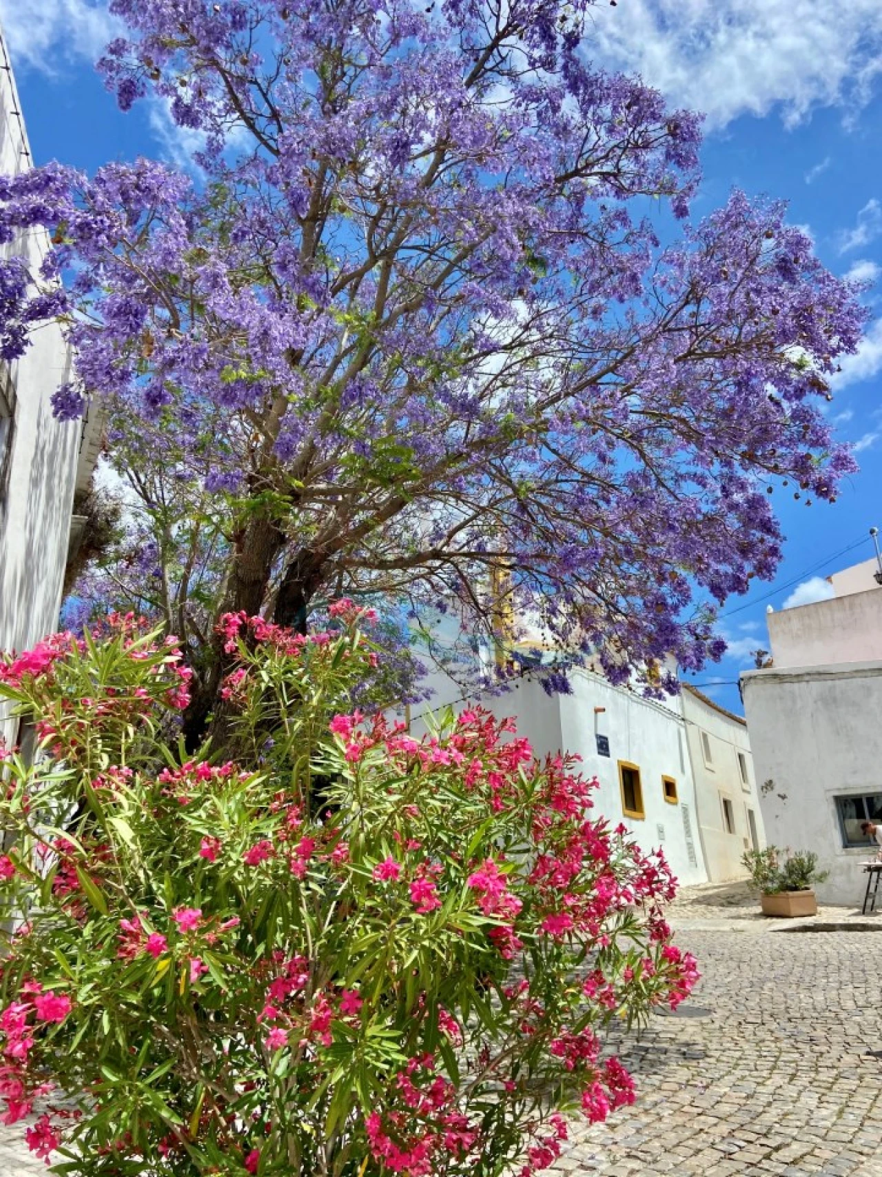 Apartamento T2 para Venda em Conceição e Estoi Foto 19