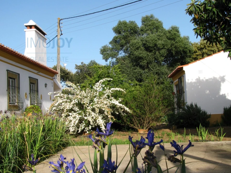 Quinta T4 para Venda em Avis Foto 22