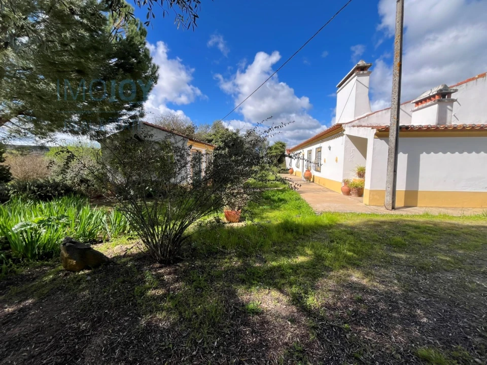 Quinta T4 para Venda em Avis Foto 23