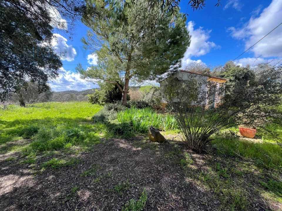 Quinta T4 para Venda em Avis Foto 33