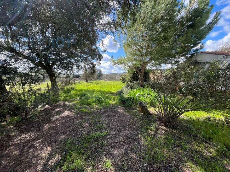 Quinta T4 para Venda em Avis Foto 34