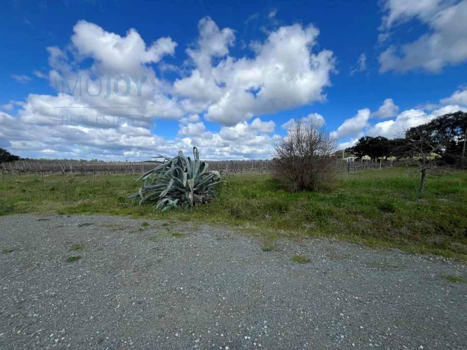 Quinta T4 para Venda em Avis Foto 35