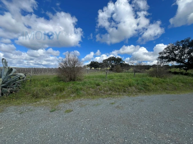 Quinta T4 para Venda em Avis Foto 36