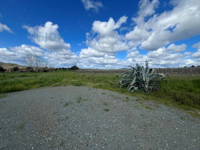 Quinta T4 para Venda em Avis Foto 38