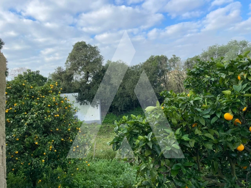 Terreno para Venda em Seixal, Arrentela e Aldeia de Paio Pires Foto 4