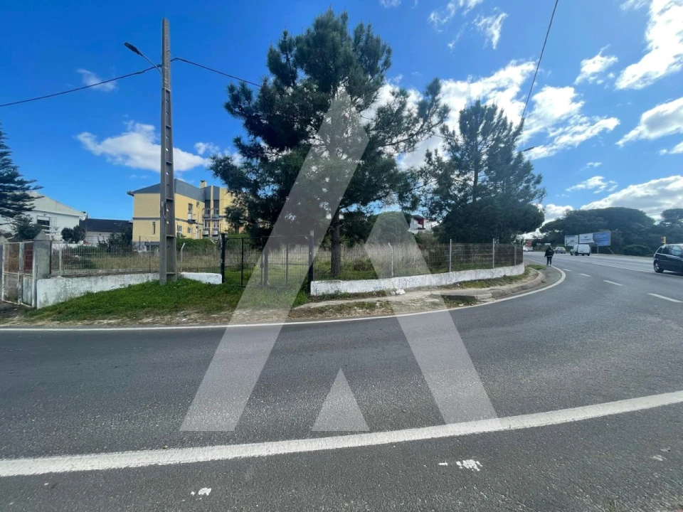 Terreno para Venda em Amora Foto 5