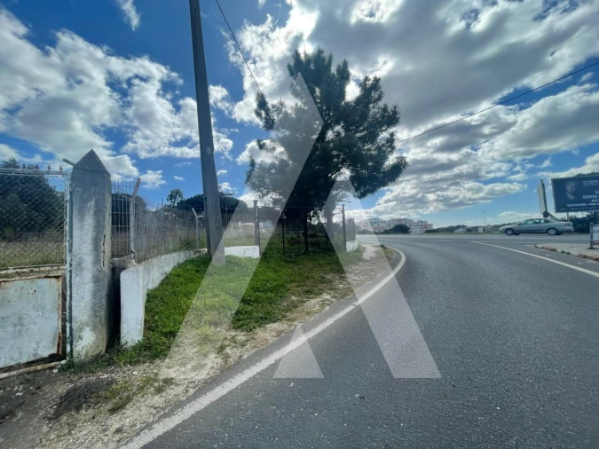 Terreno para Venda em Amora Foto 4