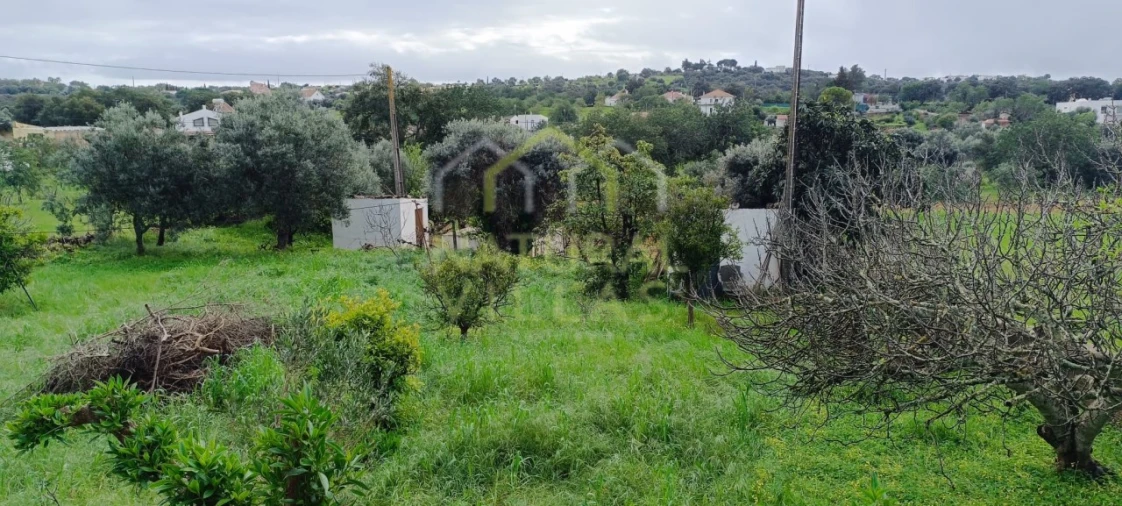 Terreno Agricola ou Rústico para Venda em São Brás de Alportel Foto 2