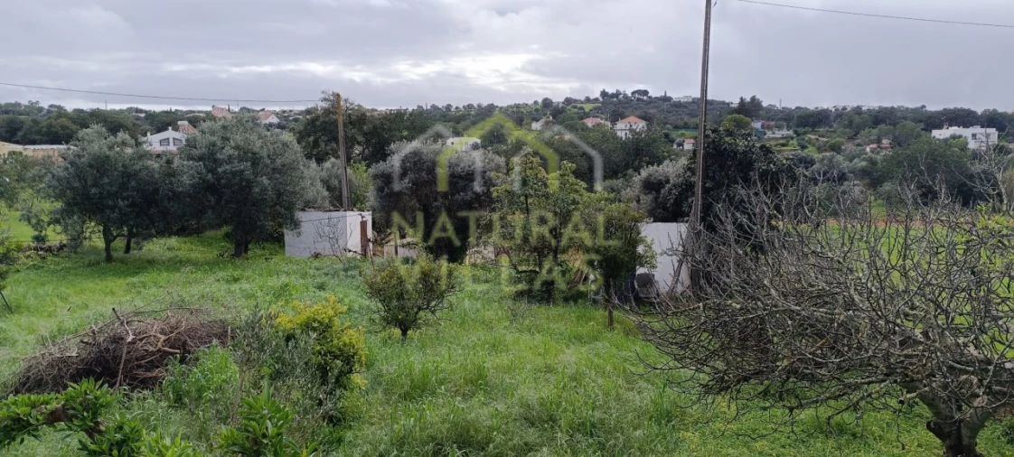 Terreno Agricola ou Rústico para Venda em São Brás de Alportel