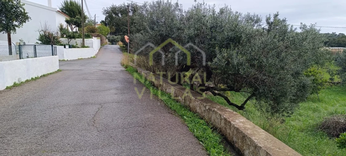 Terreno Agricola ou Rústico para Venda em São Brás de Alportel Foto 3