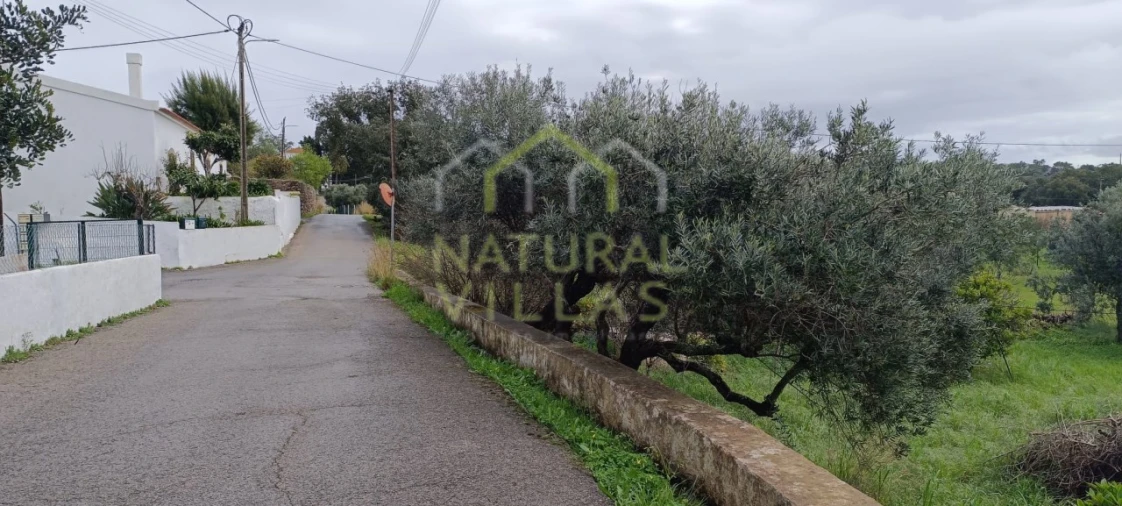 Terreno Agricola ou Rústico para Venda em São Brás de Alportel Foto 4