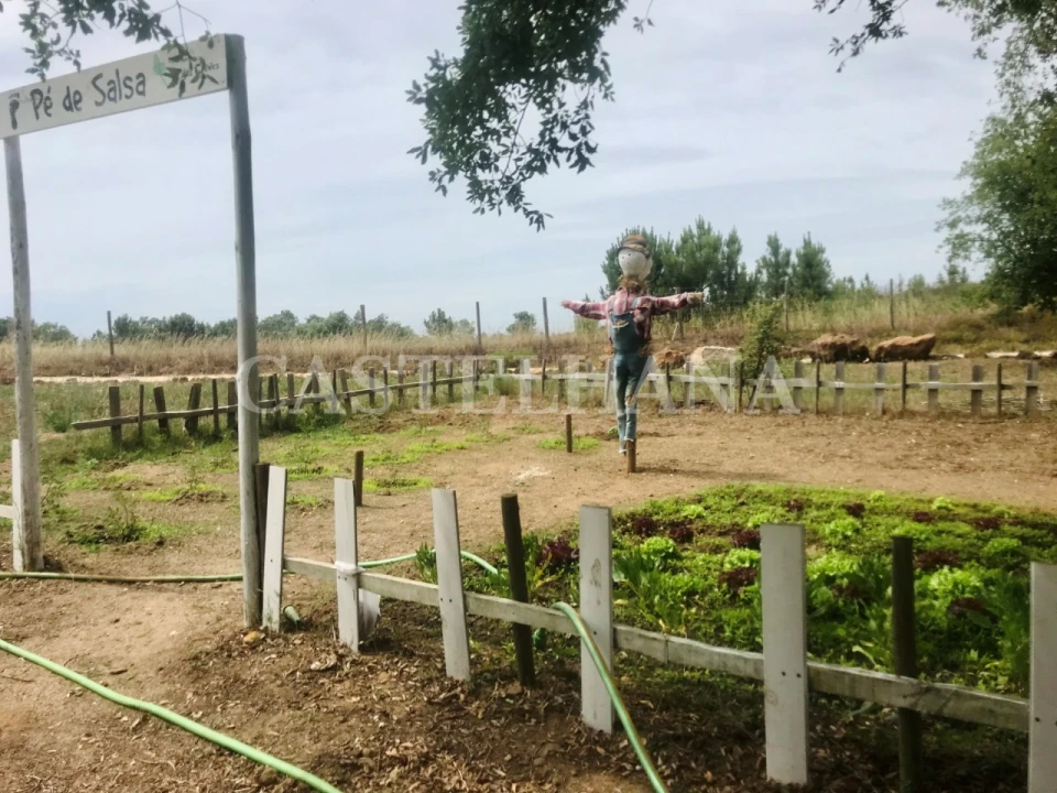 Negócio para Venda em São Teotónio Foto 42