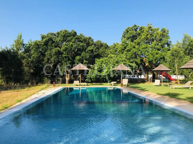 Negócio para Venda em São Teotónio Foto 16