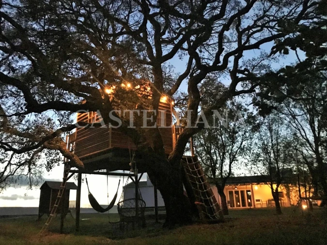 Negócio para Venda em São Teotónio Foto 38