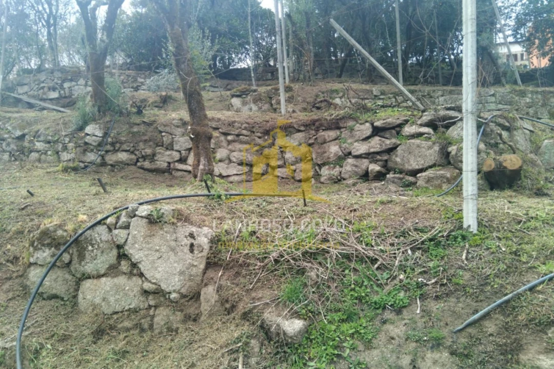 Terreno para Venda em Esperança e Brunhais Foto 18