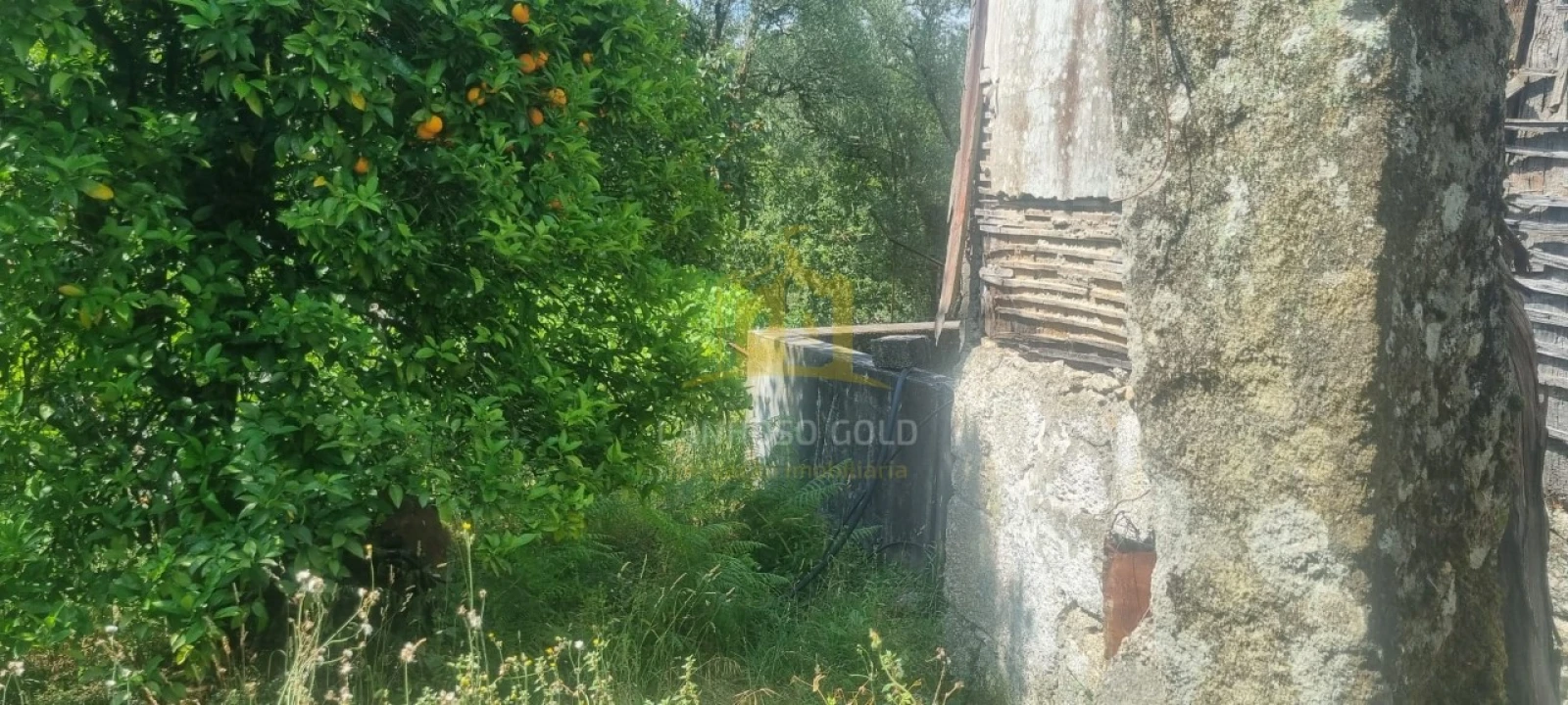 Terreno para Venda em Esperança e Brunhais Foto 15