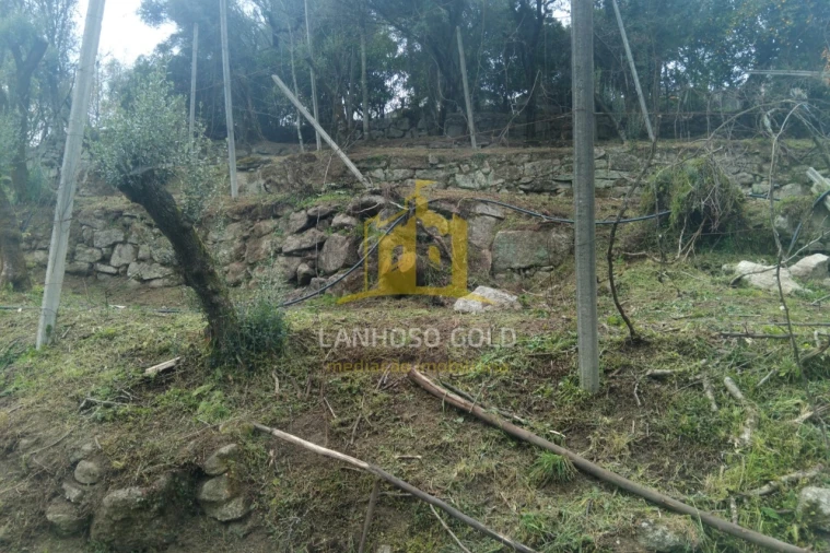 Terreno para Venda em Esperança e Brunhais Foto 10