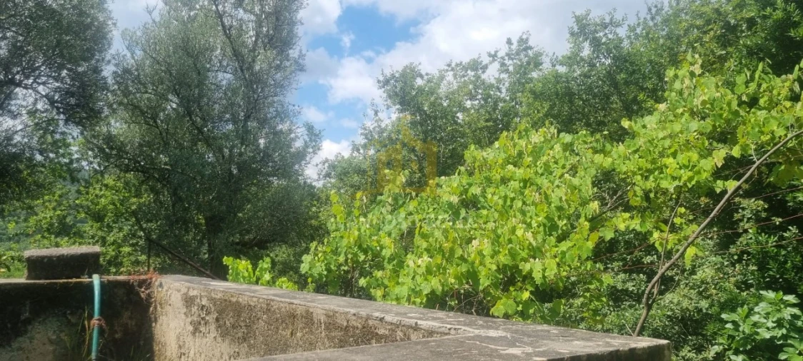 Terreno para Venda em Esperança e Brunhais Foto 14