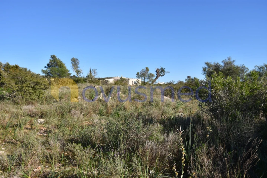 Quinta T2 para Venda em Algoz e Tunes Foto 10