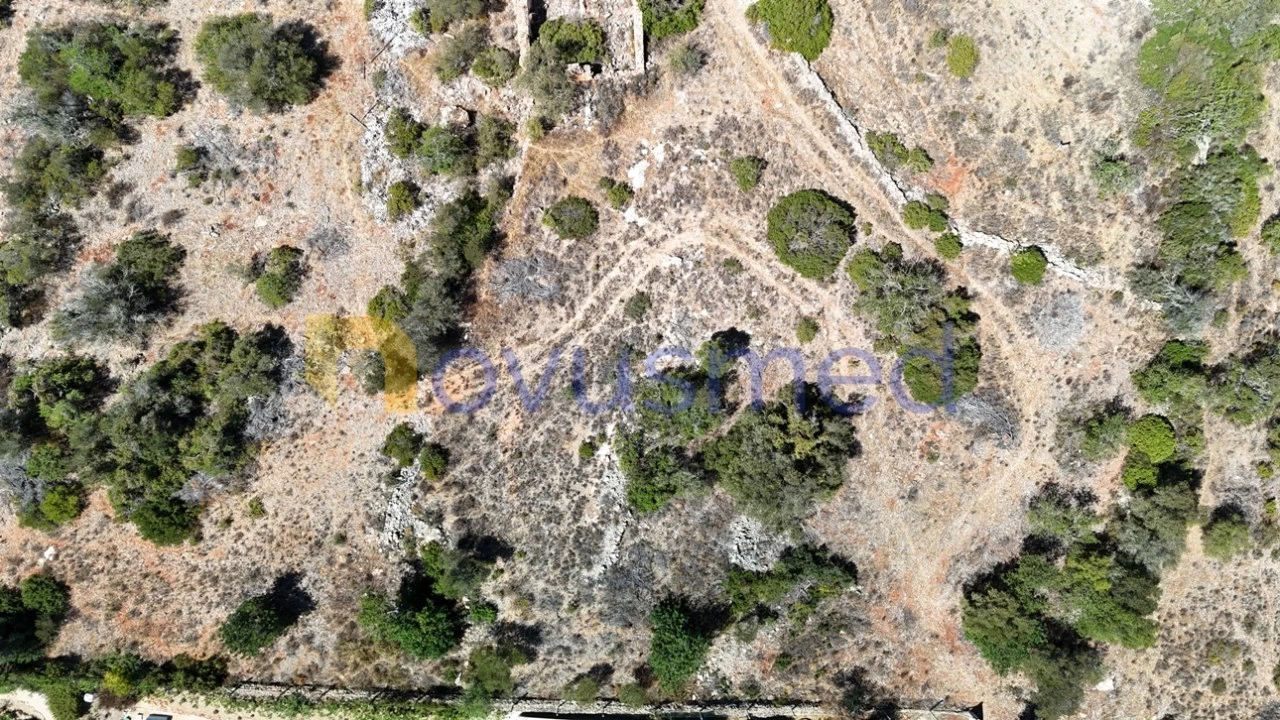 Quinta T2 para Venda em Algoz e Tunes Foto 6