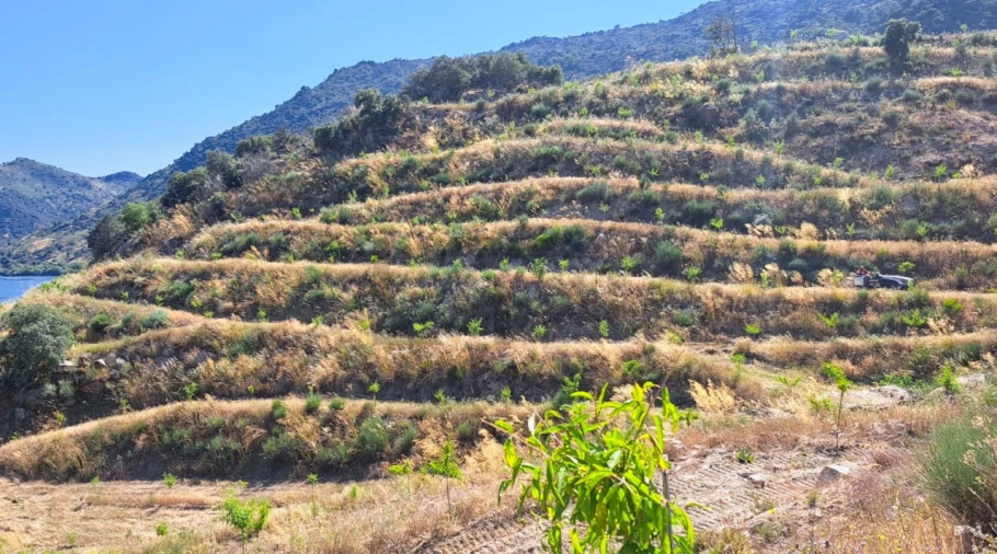 Quinta T30 para Venda em Lousa Foto 16