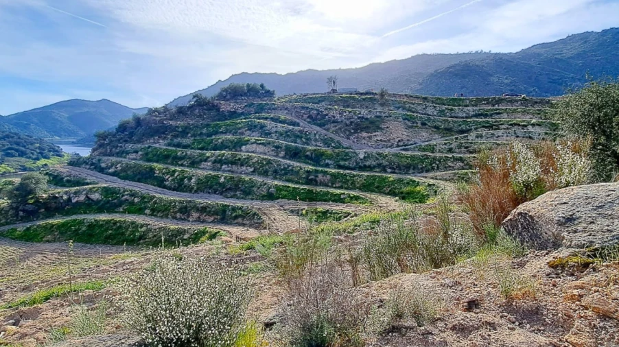Quinta T30 para Venda em Lousa Foto 19